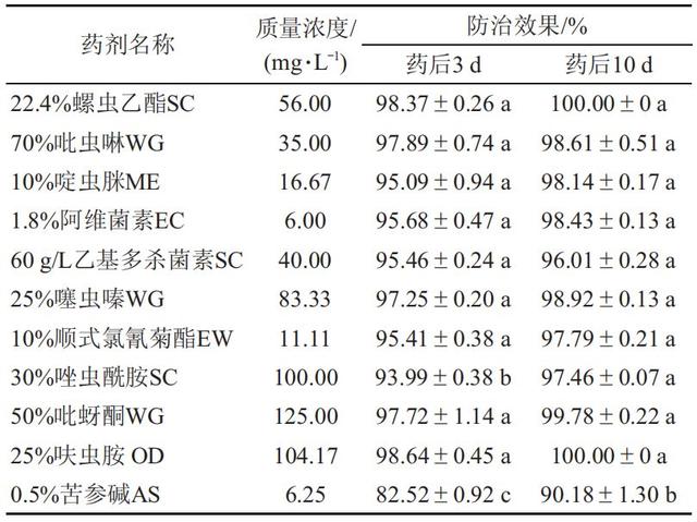 防治辣椒蚜虫和蓟马，你选对药剂了吗？3