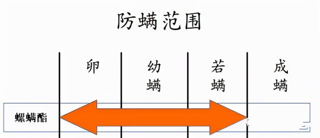 螺螨酯：杀螨界的扛把子，找到伴侣，实现虫卵双杀，真正走向巅峰5