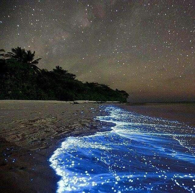 中国最美八大海岸