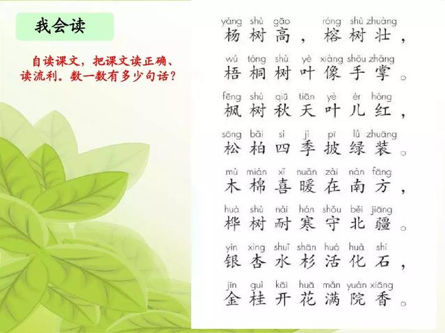 银杏水杉活化石是什么意思