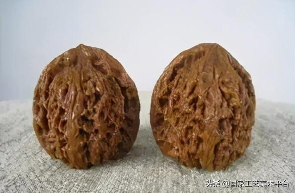 文玩核桃树