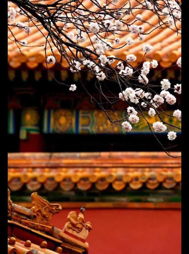 故宫是哪个朝代的皇宫（故宫是清朝建的吗）