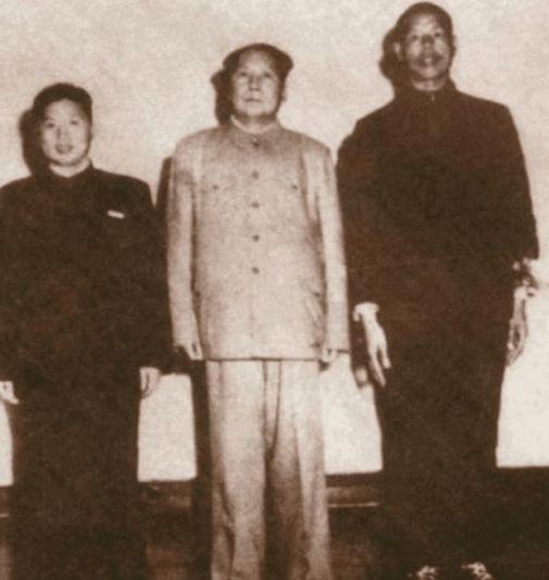 毛主席去世前写信给政府：请帮我照顾九弟一点，我实在是年老了