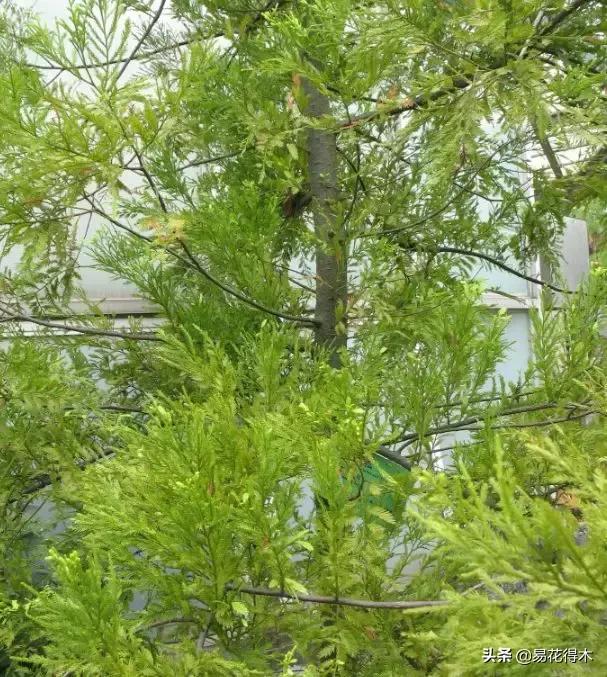 勐腊螺旋洗砂机批发