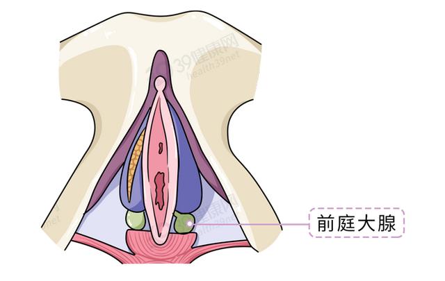润滑油怎么用