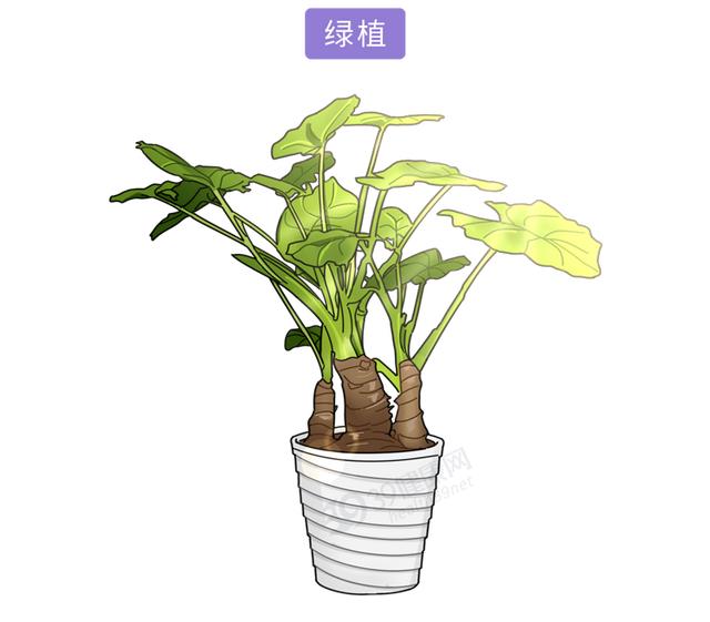 擦了药起鸡皮疙瘩
