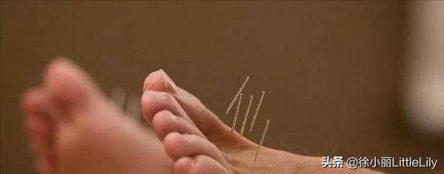 经络到底是什么