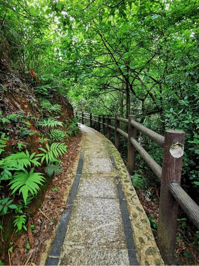 夏天就要去玩水每天必来的地方（玩水避暑清凉一夏）(9)