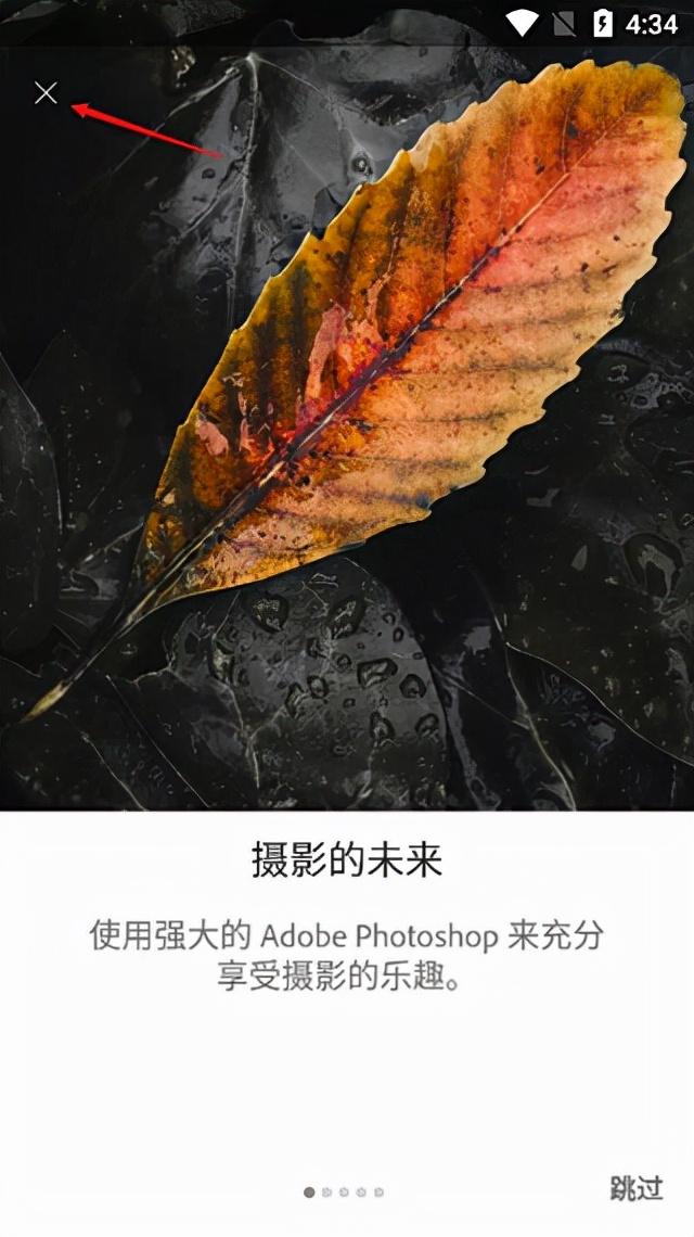 instagram中文版安卓版下载不了