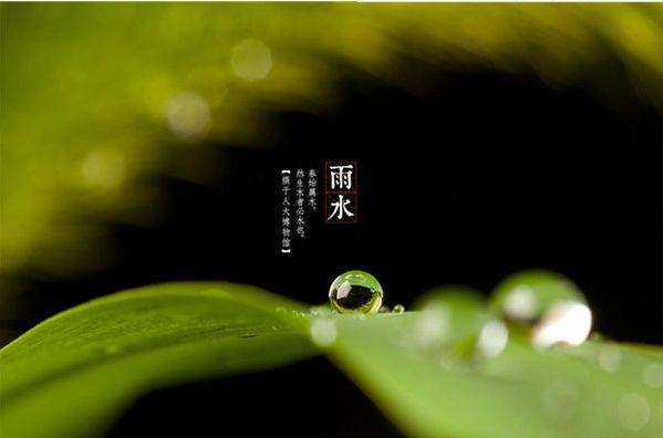 雨水节气诗词，关于雨水时节的诗词？