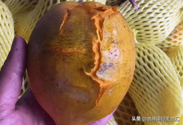 南方的水果