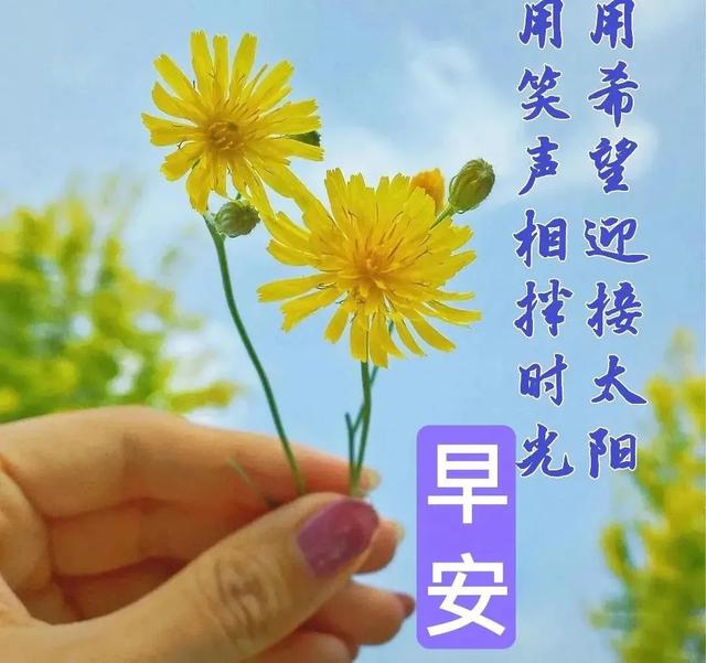 祝福自己提车吉言8字(提车祝福语简单)