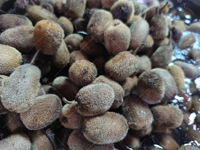 包含恩施橡胶真空过滤机的词条