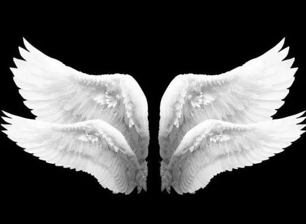 十二星座专属梦幻翅膀,水瓶座冰蓝羽翼,双鱼座美的移不开眼