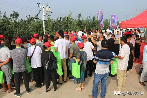 梨园摘果机械展