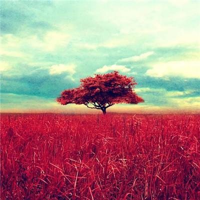 带来好运的头像(带来好运的头像大全2022)-中纳网