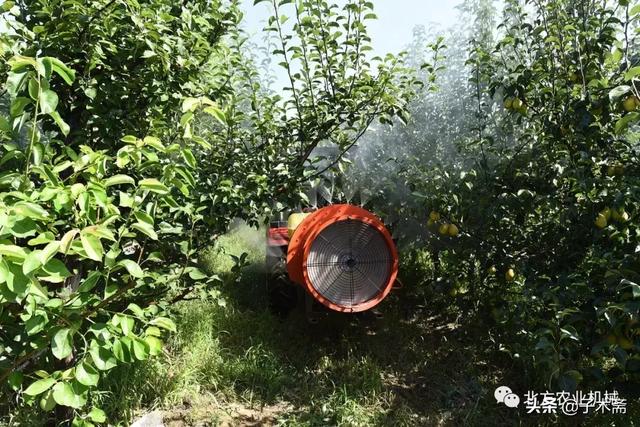 威县工程机械展