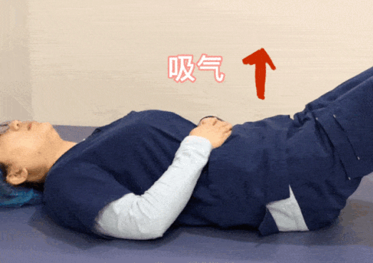 世界厕所日：关于便秘，有用的知识又增加了