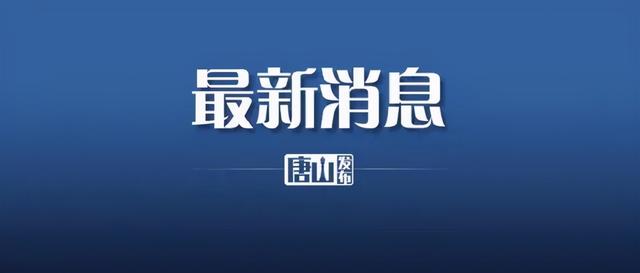 遵化线路板破碎机