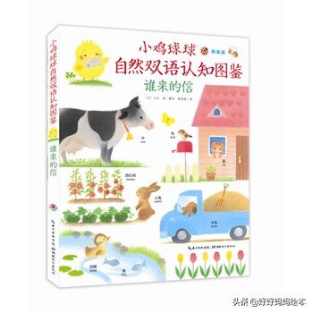 小鸡球球系列最全介绍，小鸡球成长系列绘本文字