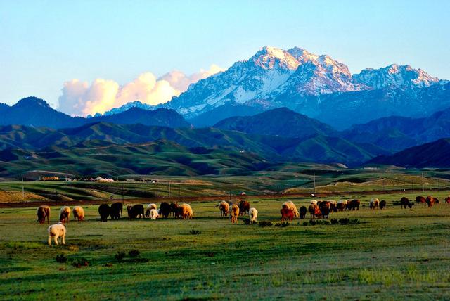 新疆女明星名字（新疆著名女明星）