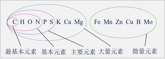 双缩脲试剂检测蛋白质原理 双缩脲试剂检测蛋白质原理（双缩脲试剂检测蛋白质原理肽键） 生活