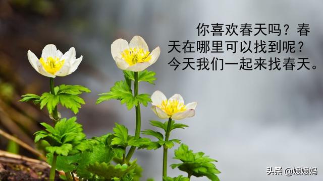 探组词
