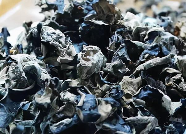 黑木耳食用指南：黑木耳有什么营养价值？怎么吃更健康？