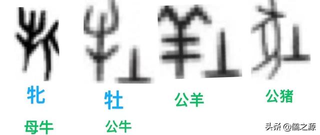 地支是指什么意思