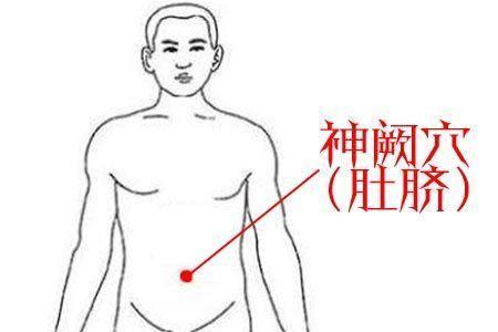 神阙的准确位置图