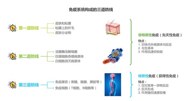 家有饭渣宝宝，家长要注意营养均衡，主动免疫是秋冬流感的克星