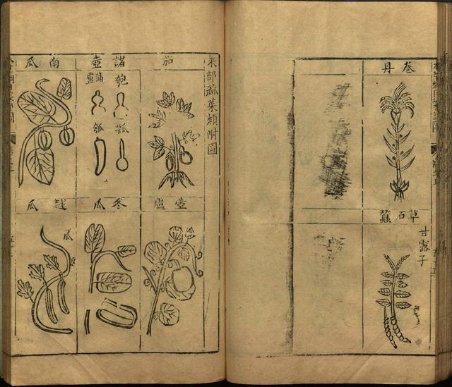 李时珍巨著《本草纲目》插图上卷（1596年刻本）