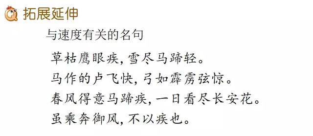 置之不理的置什么意思 置之不理的置什么意思（置之不理的理什么意思） 生活