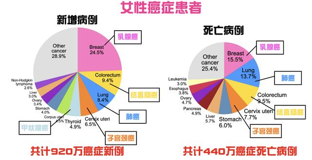 女性健康頭號殺手 乳腺癌成為全球第一癌症 7種方法遠離乳腺癌 Kks資訊網