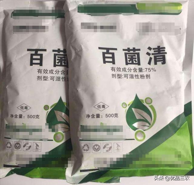 百菌清：全球杀菌剂排第12名？防150种病害，但有3点请注意2