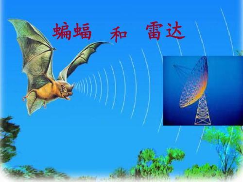 人类通过模仿蝙蝠的回声定位系统发明了雷达