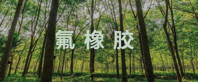 腕上智能好助手，手表手环全都有