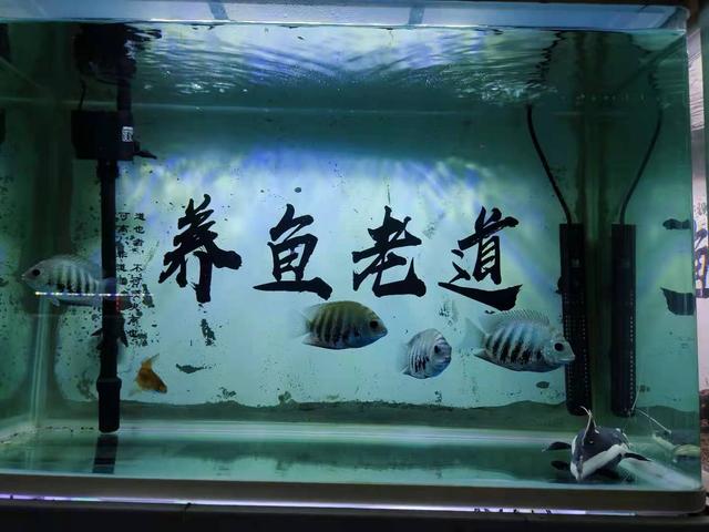 包含哪个品牌制砂机环保静音的词条