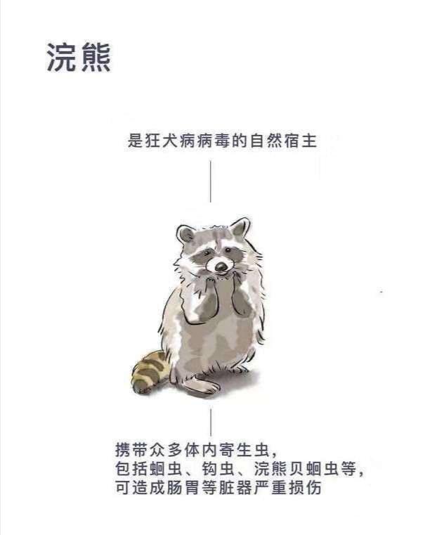 动物病毒有哪些