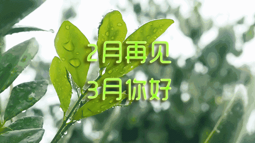 2月再见3月你好海报配图卡通图片大全，适合三月发朋友圈的句子文案