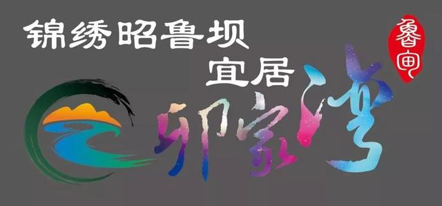 弥渡砂厂洗砂机价格