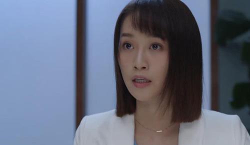 精英律师电视剧免费观看