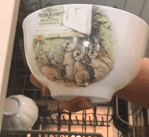 洗碗机的工作原理是什么（新买的洗碗机居然洗不了碗）