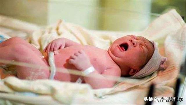 人类都是早产儿？科学家：怀孕21个月才足月，自然选择使人类早产