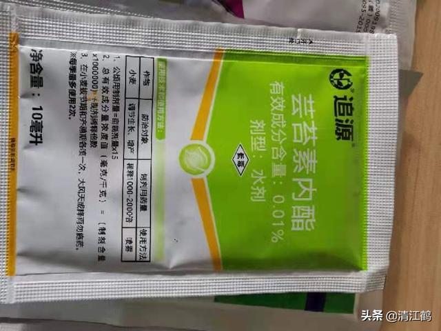 除低温高湿外，还有2个诱因被忽略，用好3个配方速克水稻立枯病7