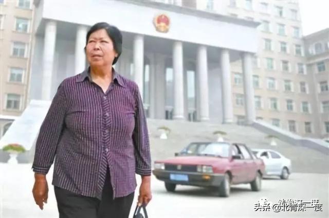 聂树斌案件