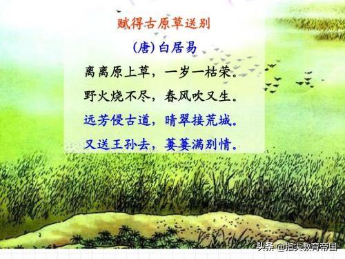 一望无际什么意思