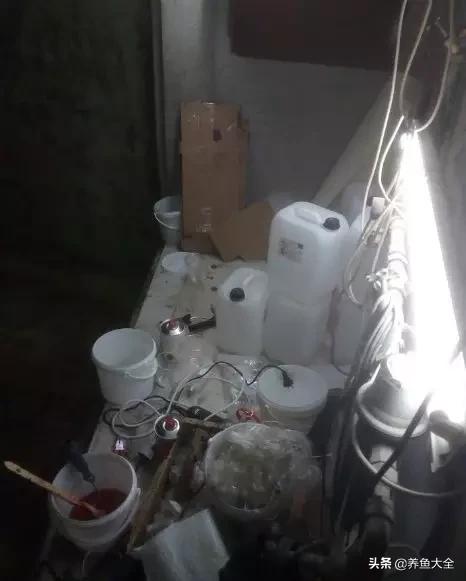 渭南鼓式过滤机