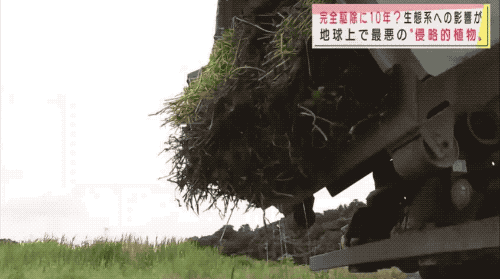 细胞破碎机维修