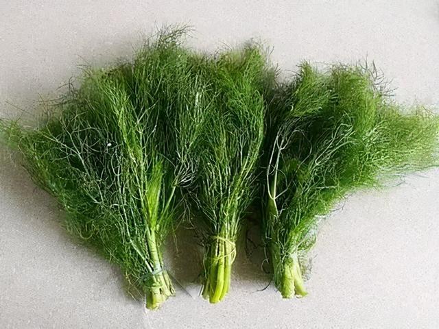 小茴香的这么多功效，你要是不知道就太可惜了